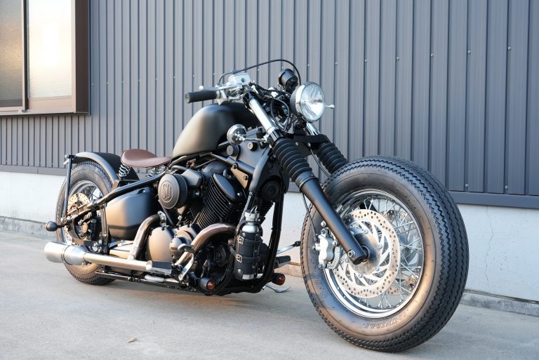 DragStar1100 0224