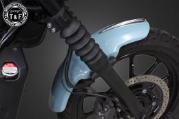 エリミネーター400　フェンダーチップ(メッキ)