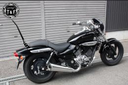 エリミネーター250V　純正フェンダー専用シーシーバーショート(ブラック)