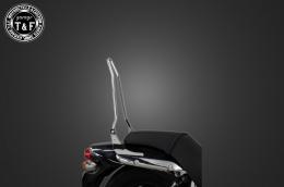 エリミネーター250V　純正フェンダー専用シーシーバーショート(メッキ)